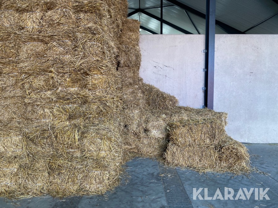 Småbal 50 st Höstvete halm