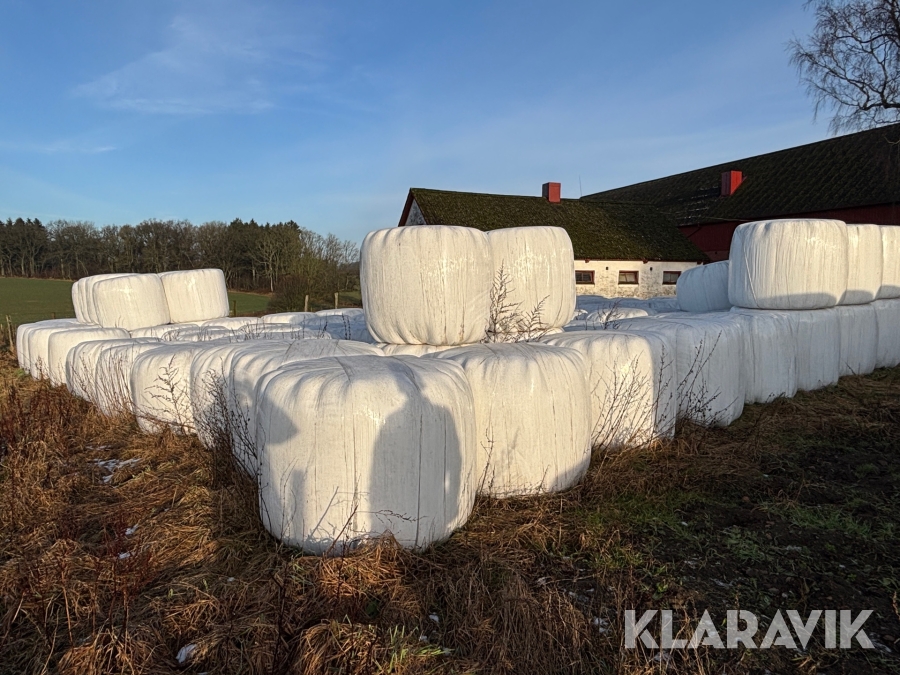 Ensilage 30st rundbalar