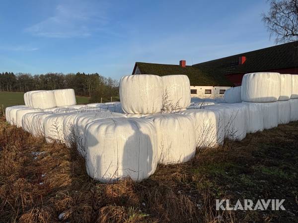 Ensilage 30st rundbalar