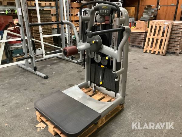 Gymmaskin TechnoGym Multi Hip