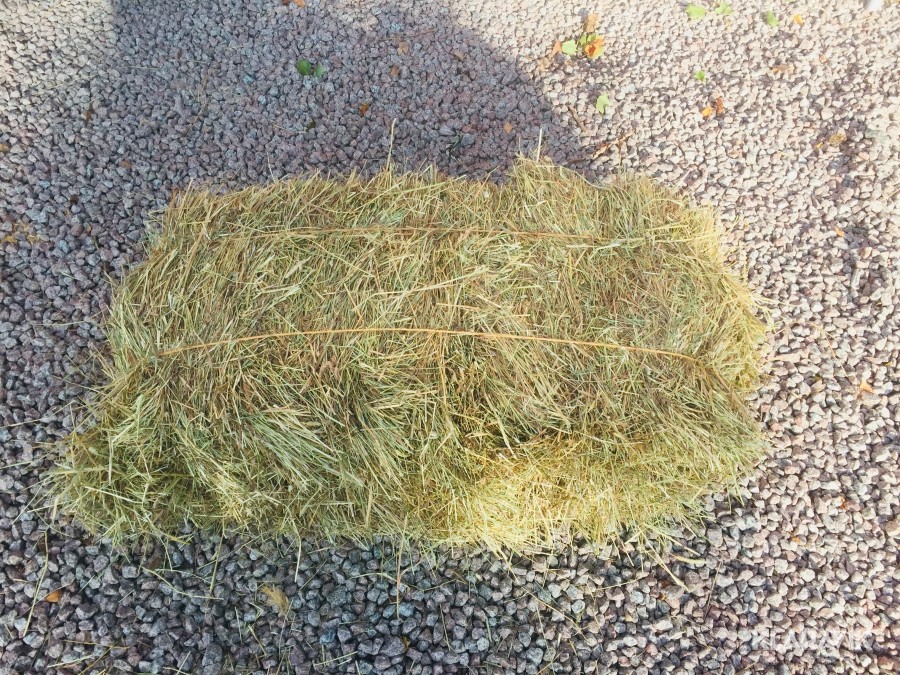 250st Hårdpressade Småbalar Hö