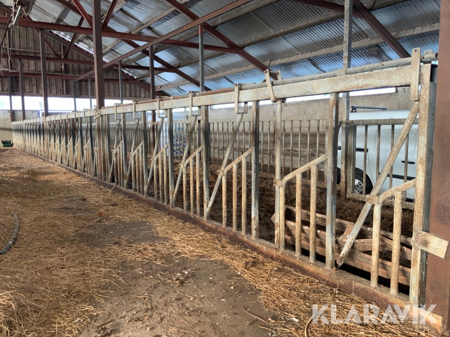 Fånggrindar till nötkreatur