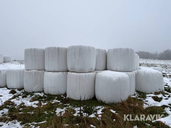 Ensilage 30st rundbalar