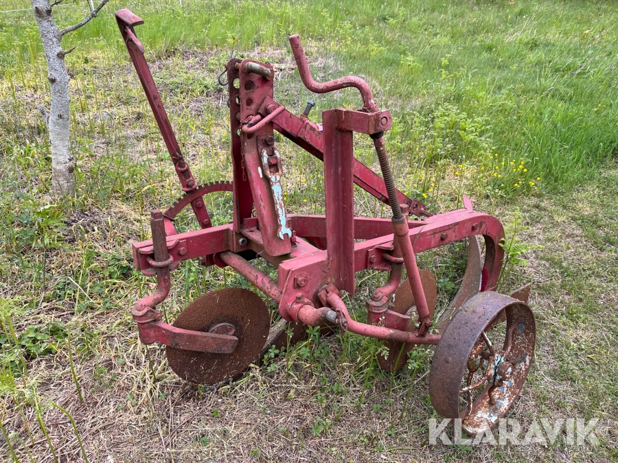 Regina Ice porno film