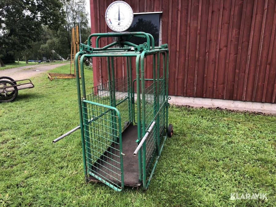 Våg för kalv och får