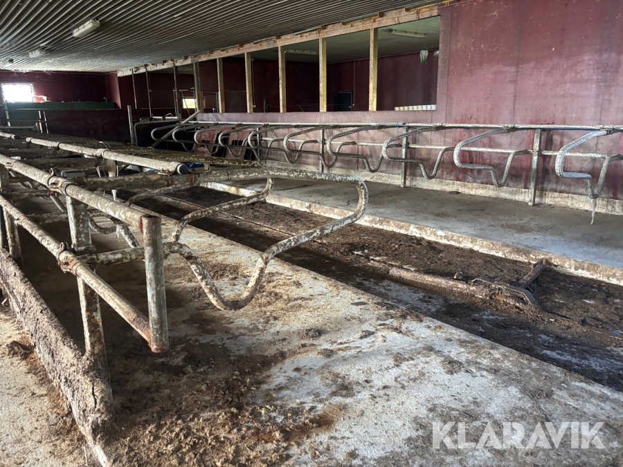 Inredning mjölkkor, 46 st byglar