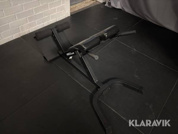 Gymutrustning Maxxus Backrest bench
