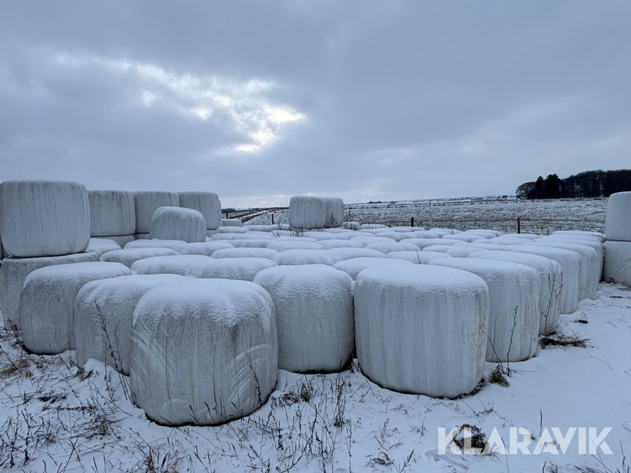 Ensilage 50st rundbalar