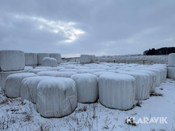 Ensilage 50st rundbalar