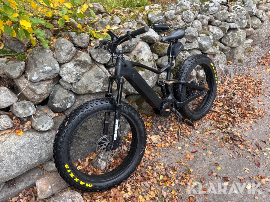 El-MTB I.AM.CARBON