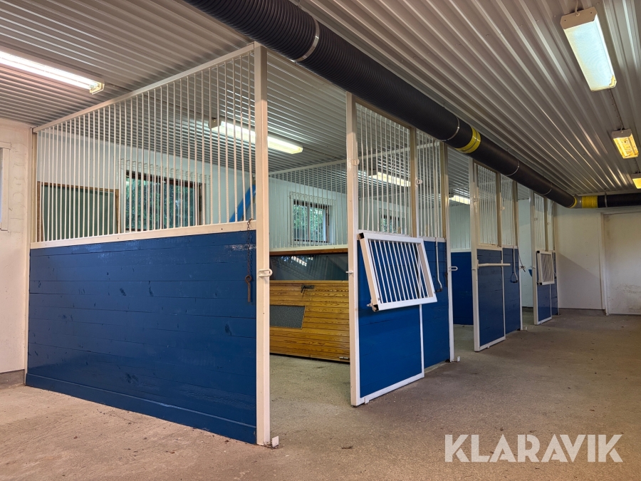 Hästboxar 3 st