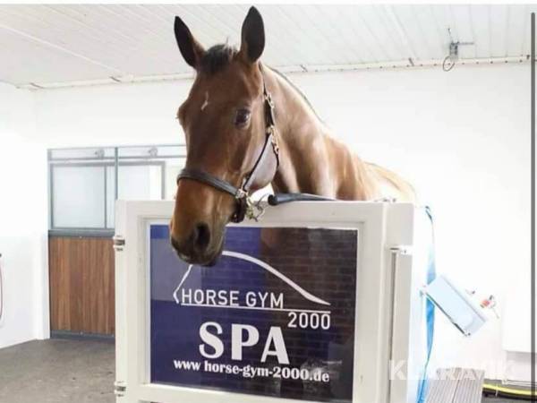 Kylspa för hästar Horse Gym 2000