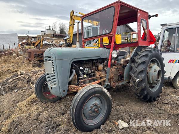 Veterantraktor Ferguson FE35 guldkalv