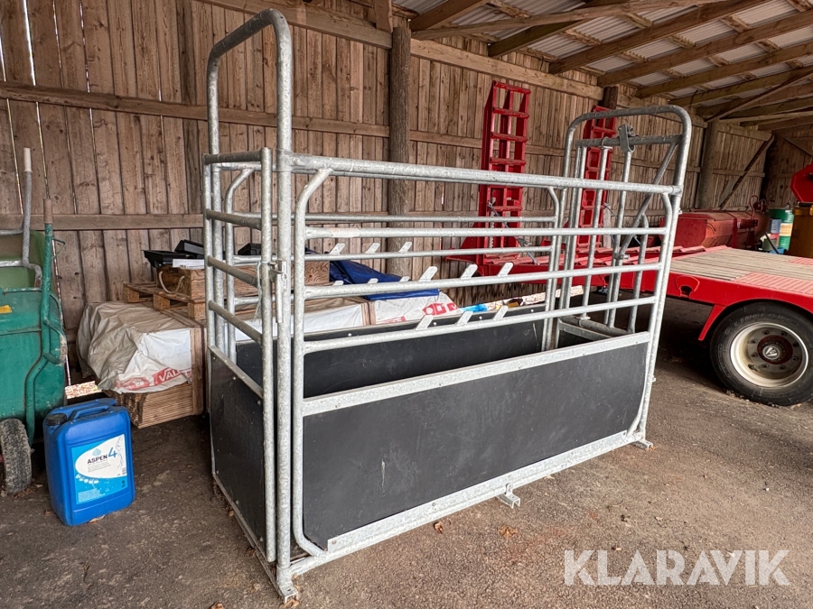 Fångst / Behandlingsbur för nöt