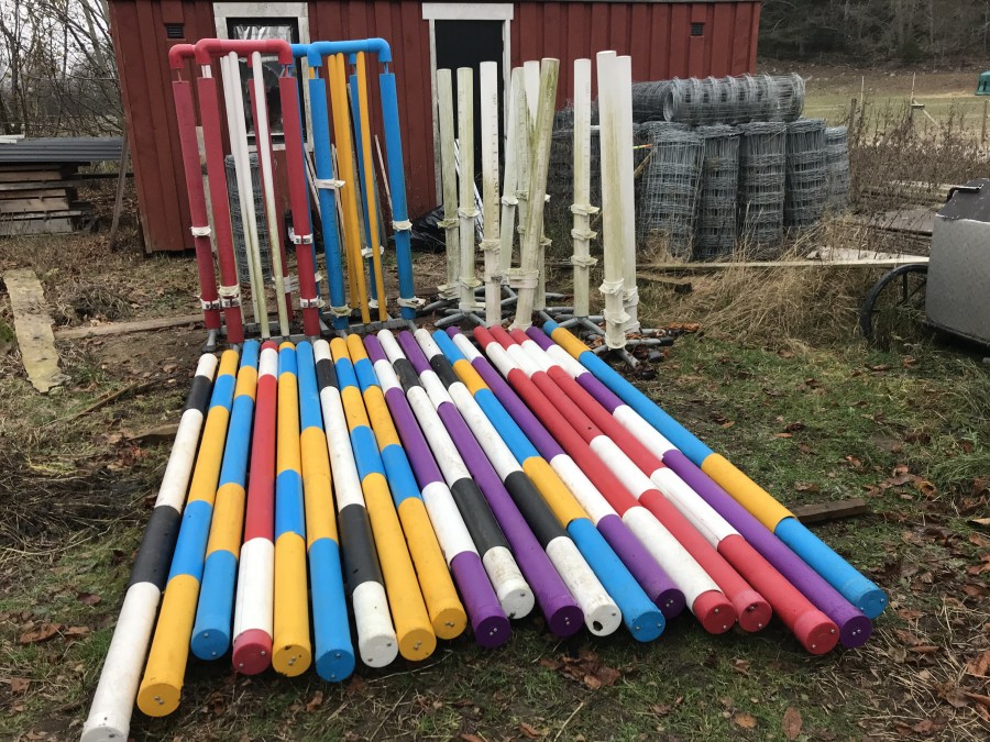 Hinder / Hästhinder