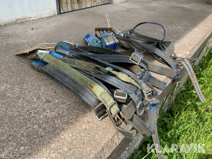 Transpondrar med halsband DeLaval 26st