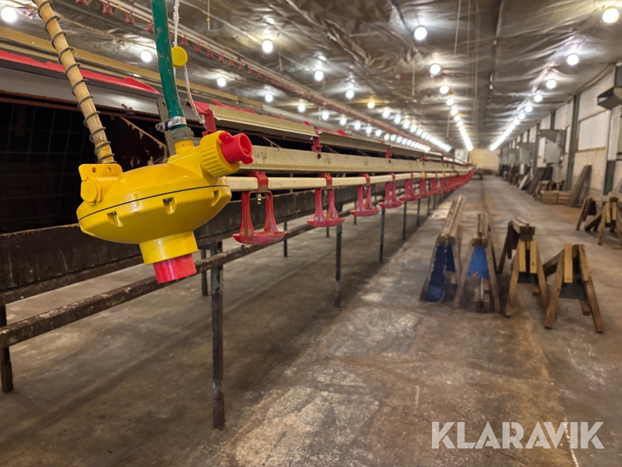 Vattenlinjer för fjäderfä - 4 st á 58 meter