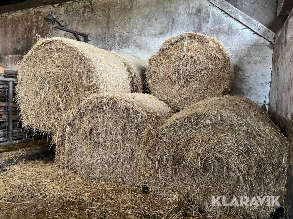 Halmbalar 50st
