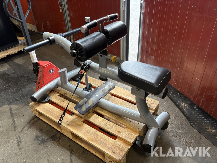 Gymutrustning Matrix Vadpress