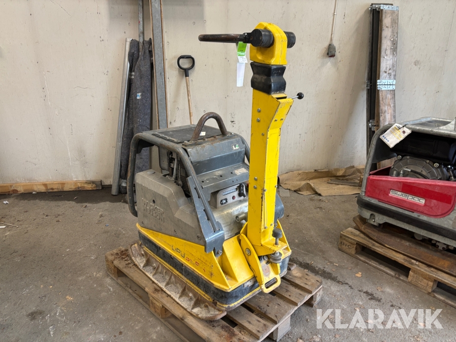 Markvibrator Wacker Neuson DPU6555 Hech
