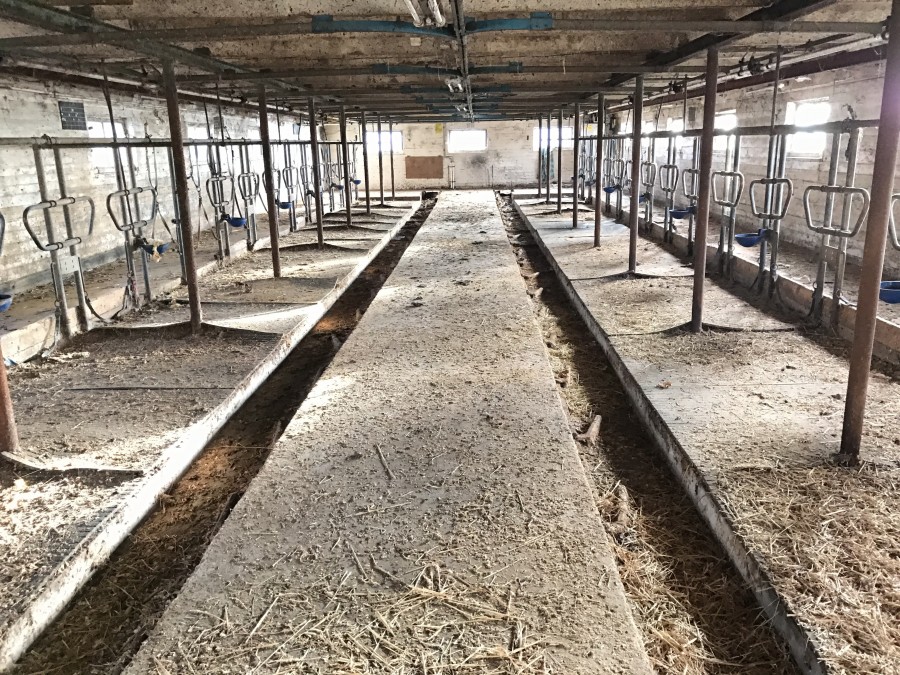 Inredning för nötkreatur