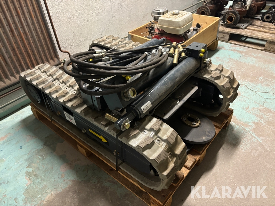 Larvbandsunderrede med kolvar och stödben