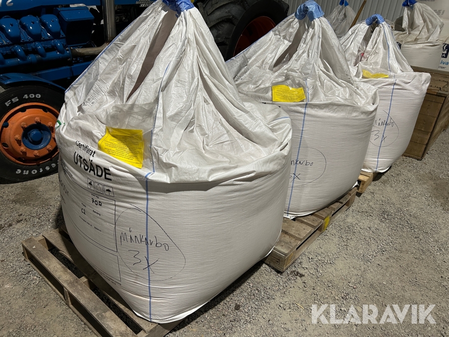 Vårutsäde korn Lantmännen 2-radskorn dragoon