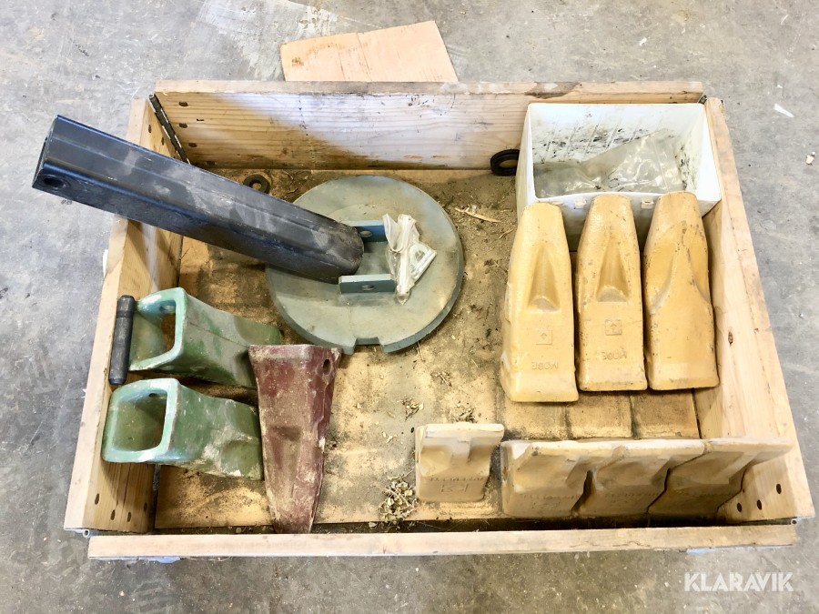 Cat tänder och tallrik till snöblad