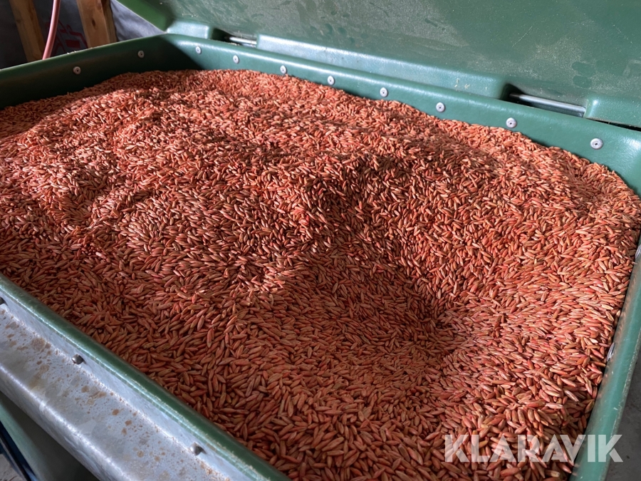 Utsäde betat havre 400 liter