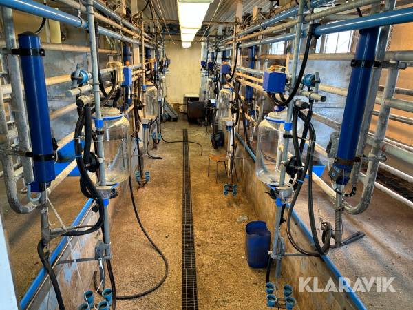 Mjölkgrop Alfa Laval Tandem 8 platser