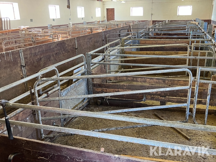 Parti med grisboxar och foderautomater