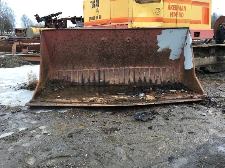 Bergskopa utan tänder