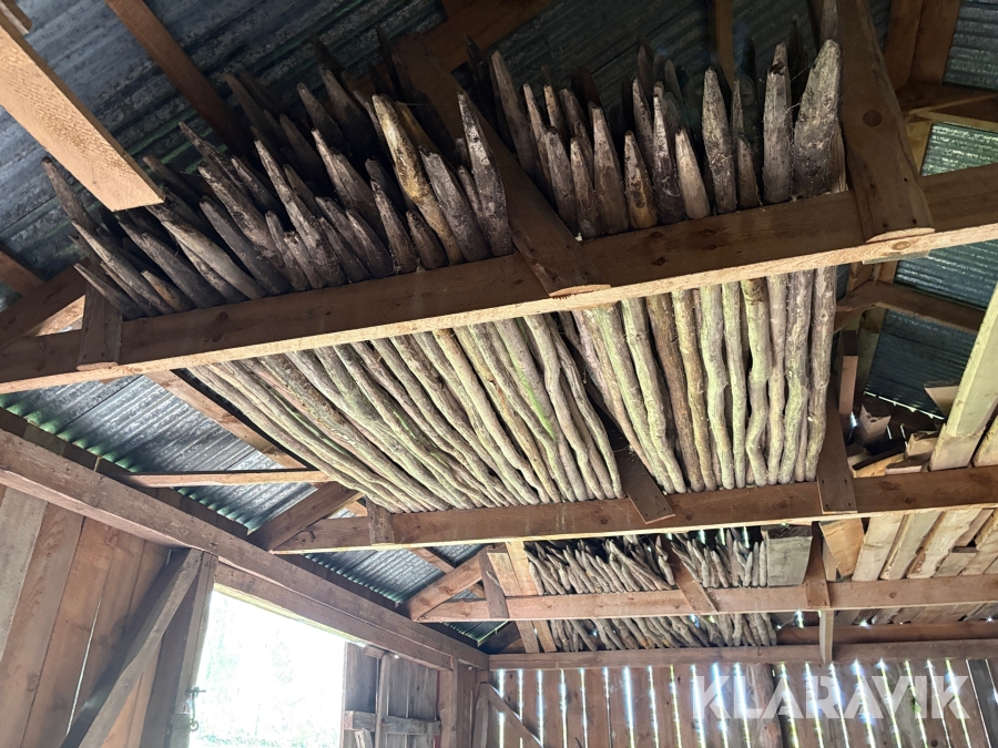 Hässjestörar/ gärdesgårdsstolpar ca 300st