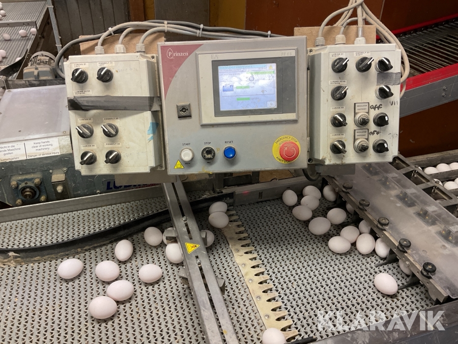 Äggpackningsmaskin Prinzen Speedpack 110 40 000st ägg/timme