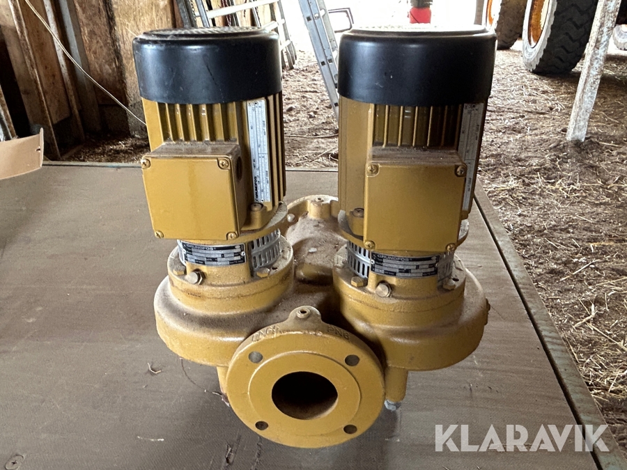 Vattenpump dubbel Grundfos D060030 P1 9203