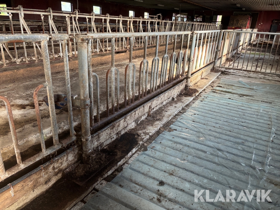 Fångstgrind ungdjur