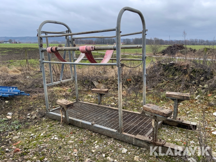 Verkstol för nötkreatur