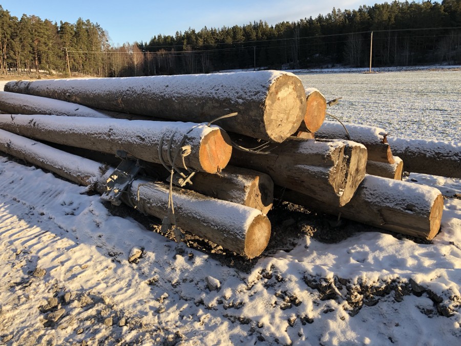 12 st telefonstolpar