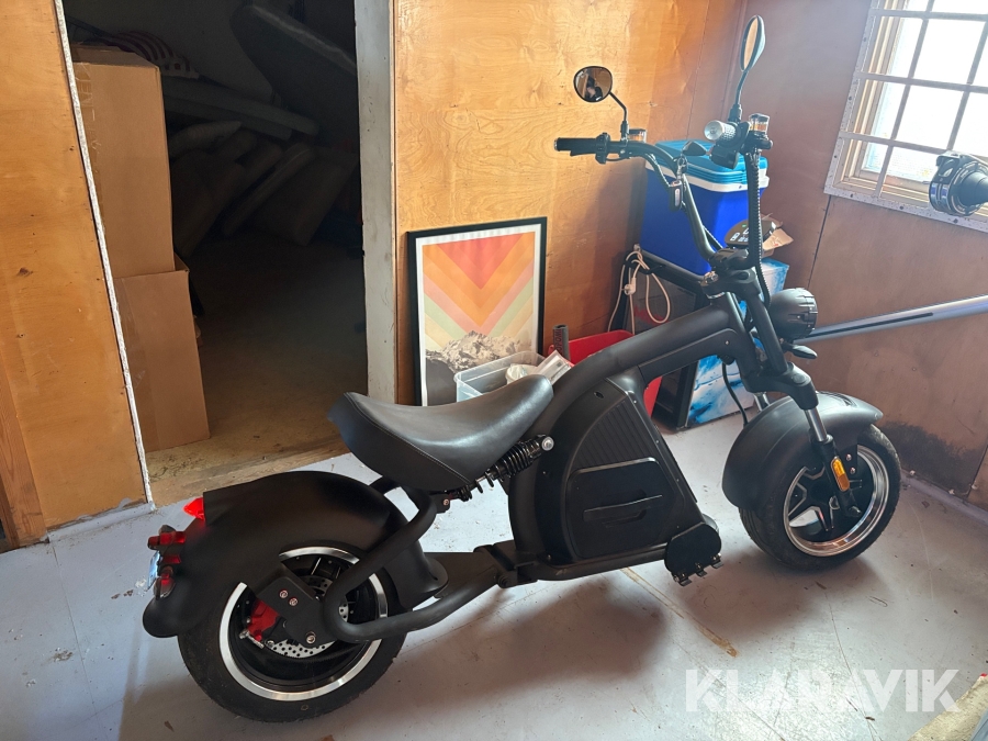 Elscooter/Fatbike Mangosteen