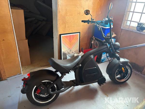 Elscooter/Fatbike Mangosteen