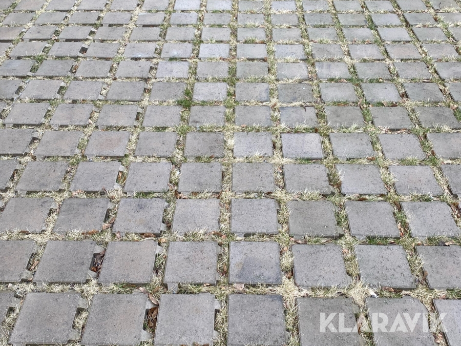 Marksten Munksten Gräsmunk St Eriks