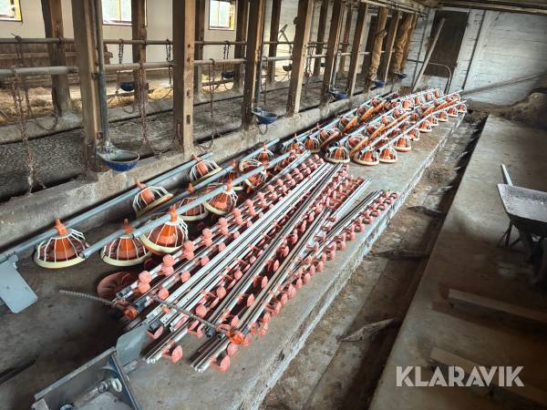 Utfodring/vattensystem till kyckling ca 60m