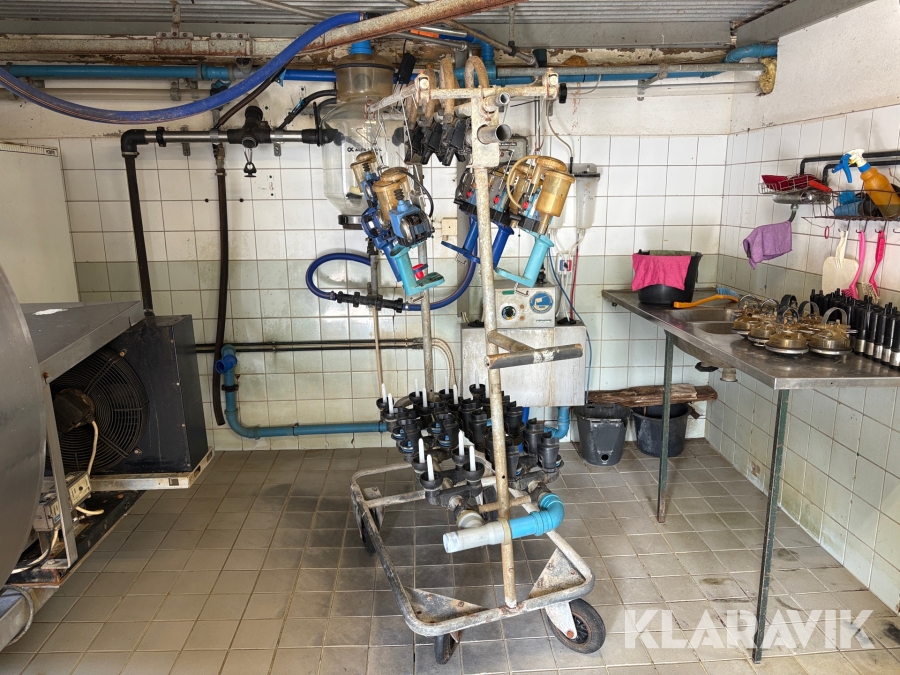 Rörmjölkning Delaval