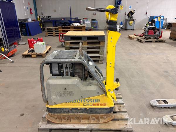 Markvibrator Wacker Neuson DPU 6555Hech