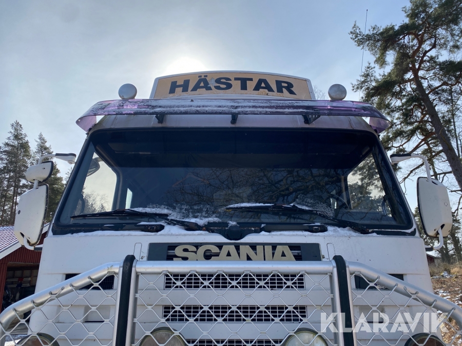 Hästlastbil Scania R143 ML 6X2L