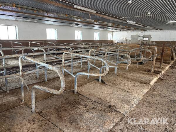 Liggbåsavskiljare Alfalaval och ätfront/ foderfront