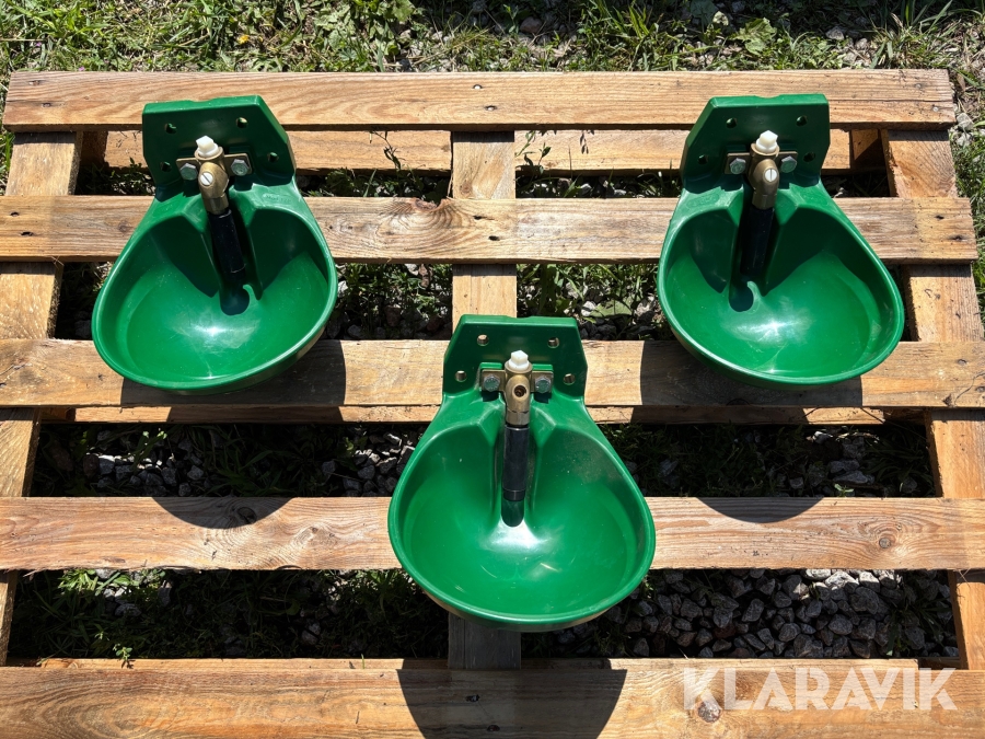 Vattenkoppar Suevia 12p 3st