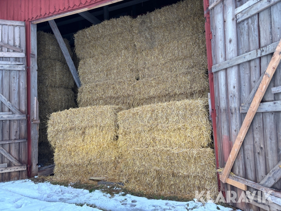 Halmbalar Fyrkant Vete/Havre år 2025 80 st