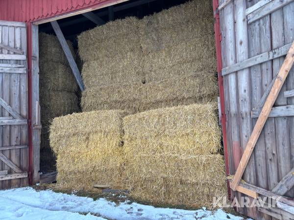 Halmbalar Fyrkant Vete/Havre år 2025 80 st