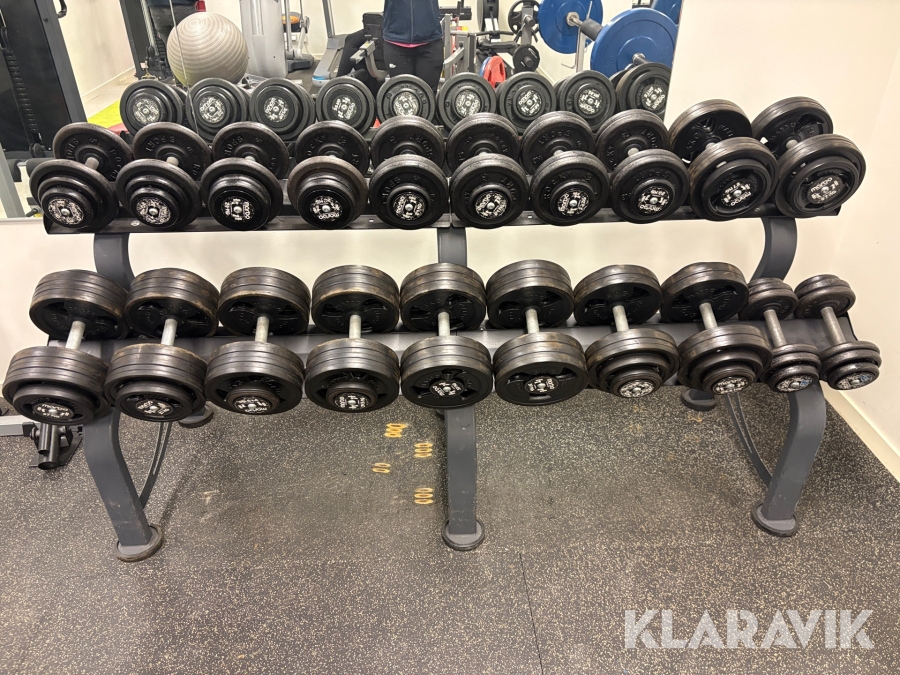 Paket med hantlar/vikter